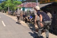 Penertiban dan penegakan Peraturan Daerah (Perda) tentang hewan ternak di Kabupaten Kaur, Rabu (12/11/25). (foto: Fraky Yudiansyahbengkulubarometer.com/)