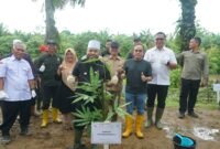 Gubernur Bengkulu Helmi Hasa Usai tamam pohonn Bambu di PT Bio 