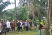 : PT Bio Nusantara Teknologi langsung mengeksekusi sawit di bantaran Sungai Lemau sebagai wujud komitmen investasi hijau dan konservasi lingkungan di Bengkulu