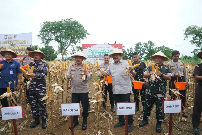 Polri menggelar panen jagung serentak kuartal I 2026 di Bengkulu. Program ini menjadi wujud dukungan terhadap ketahanan pangan nasional