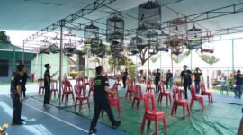 Ratusan kicau mania padati Makorem 041/Gamas dalam lomba burung berkicau HUT ke-80 Korem 041/Gamas. Ajang ini jadi momen silaturahmi TNI dan masyarakat Bengkulu.