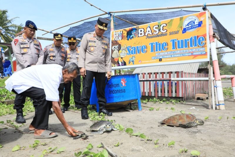 LEPAS: Kapolda Bengkulu lepas Tukik sekaligus meninjau konservasi penyu rusak akibat abrasi di Bengkulu Tengah dan menegaskan komitmen Polri dalam pelestarian lingkungan. (Kamis - 09-04-2026)--FOTO: IST//MBG