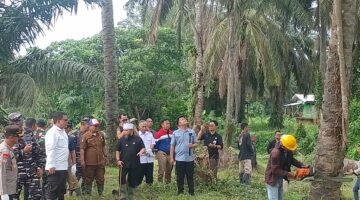 Genjot Ekonomi Rakyat, Program PSR Bengkulu 2026 Targetkan 3.500 Hektare Sawit Diremajakan