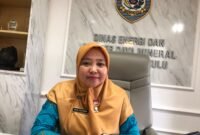 Kepala Dinas ESDM Provinsi Bengkulu, Rico Yulyana