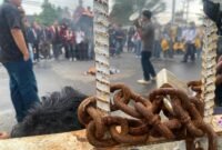DEMO: Puluhan mahasiswa Aliansi Bengkulu Mengingat menyegel Kantor DPRD Provinsi Bengkulu saat aksi Hardiknas 2026. Massa menyoroti anggaran pendidikan, nasib guru non-ASN hingga dugaan komersialisasi sekolah. SELASA-12-05-2026-- FOTO: HANDI//MBG.