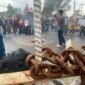 DEMO: Puluhan mahasiswa Aliansi Bengkulu Mengingat menyegel Kantor DPRD Provinsi Bengkulu saat aksi Hardiknas 2026. Massa menyoroti anggaran pendidikan, nasib guru non-ASN hingga dugaan komersialisasi sekolah. SELASA-12-05-2026-- FOTO: HANDI//MBG.