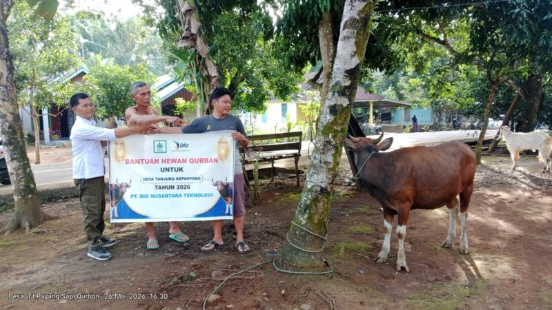 PT SIL dan PT Bio Nusantara Teknologi menyalurkan 43 sapi dan 12 kambing kurban pada Idul Adha 2026 untuk masyarakat desa penyangga dan karyawan sebagai bentuk kepedulian sosial perusahaan.