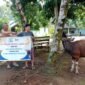 PT SIL dan PT Bio Nusantara Teknologi menyalurkan 43 sapi dan 12 kambing kurban pada Idul Adha 2026 untuk masyarakat desa penyangga dan karyawan sebagai bentuk kepedulian sosial perusahaan.
