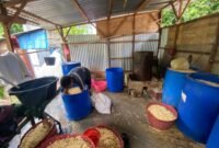 Kenaikan harga kedelai hingga Rp850 ribu per karung memaksa pengusaha tempe di Bengkulu mengurangi produksi dan menyesuaikan strategi penjualan agar usaha tetap bertahan.