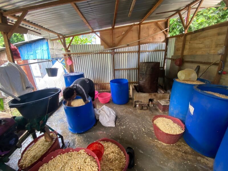 Kenaikan harga kedelai hingga Rp850 ribu per karung memaksa pengusaha tempe di Bengkulu mengurangi produksi dan menyesuaikan strategi penjualan agar usaha tetap bertahan.