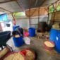 Kenaikan harga kedelai hingga Rp850 ribu per karung memaksa pengusaha tempe di Bengkulu mengurangi produksi dan menyesuaikan strategi penjualan agar usaha tetap bertahan.