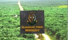 Laporan Dugaan Izin PT RAA Berproses, Kejati Bengkulu Koordinasi dengan Kejagung dan Satgas PKH