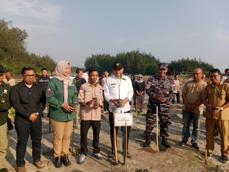 Pemkab Bengkulu Tengah menanam 1.000 bibit mangrove dan melepas 100 tukik di pesisir Pondok Kelapa sebagai upaya mencegah abrasi dan menjaga kelestarian ekosistem laut.