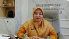 Harga Pertamax turun Rp350 per liter menjadi Rp16.300 mulai 1 Agustus 2026. Dinas ESDM Bengkulu memastikan pasokan dan distribusi BBM di daerah tetap aman, lancar, dan terkendali.