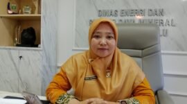 Harga Pertamax turun Rp350 per liter menjadi Rp16.300 mulai 1 Agustus 2026. Dinas ESDM Bengkulu memastikan pasokan dan distribusi BBM di daerah tetap aman, lancar, dan terkendali.