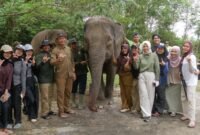 Elephant Camp 2026 mengajak pelajar, mahasiswa dan masyarakat Bengkulu mengenal gajah Sumatera serta pentingnya menjaga habitat Bentang Seblat.