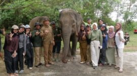 Elephant Camp 2026 mengajak pelajar, mahasiswa dan masyarakat Bengkulu mengenal gajah Sumatera serta pentingnya menjaga habitat Bentang Seblat.