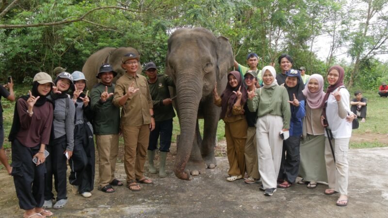 Elephant Camp 2026 mengajak pelajar, mahasiswa dan masyarakat Bengkulu mengenal gajah Sumatera serta pentingnya menjaga habitat Bentang Seblat.