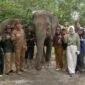 Elephant Camp 2026 mengajak pelajar, mahasiswa dan masyarakat Bengkulu mengenal gajah Sumatera serta pentingnya menjaga habitat Bentang Seblat.