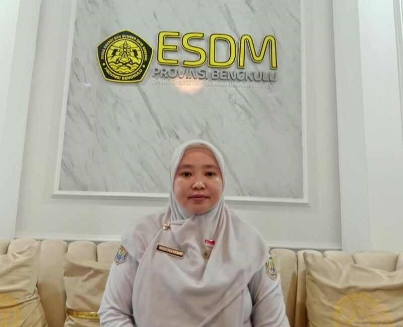 Kepala Dinas Energi dan Sumber Daya Mineral (ESDM) Provinsi Bengkulu, Rico Yulyana, Pastikan Erupsi Anak Krakatau Tak Ganggu Pasokan BBM.